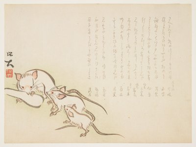 White Mice, January 1864 by Hodai